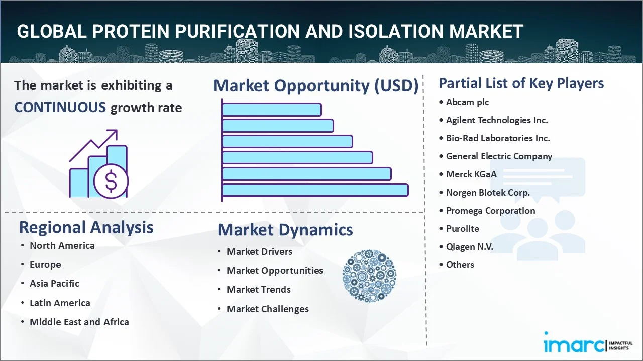 Market Report Image