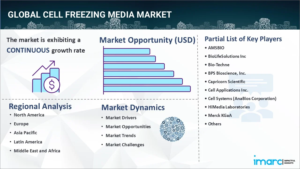 Market Report Image