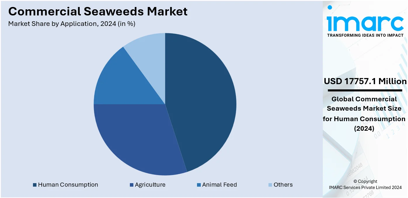 Market Report Image