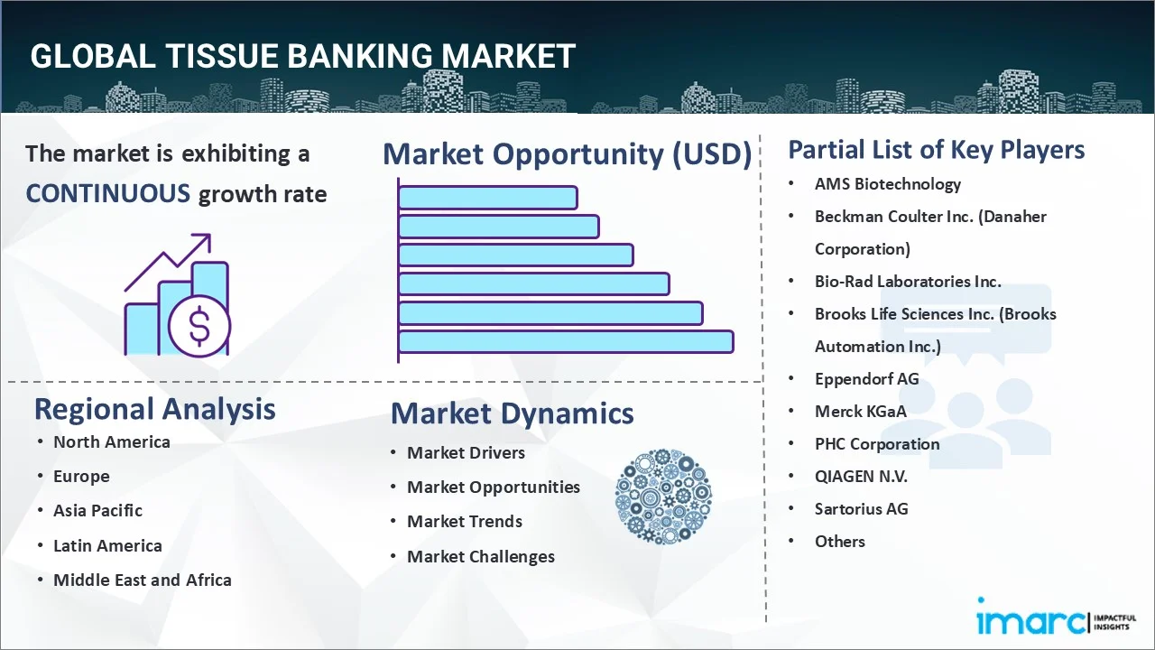 Market Report Image