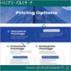 グローバルリサーチ調査レポートのイメージ