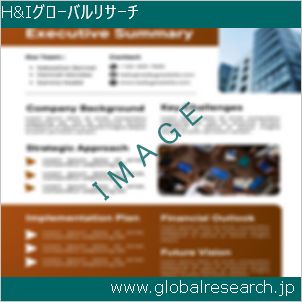 グローバルリサーチ調査レポートのイメージ