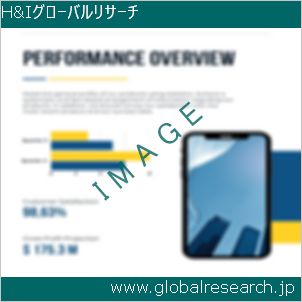 グローバルリサーチ調査レポートのイメージ