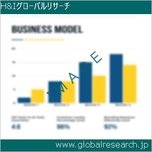 グローバルリサーチ調査レポートのイメージ