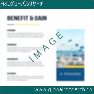 グローバルリサーチ調査レポートのイメージ