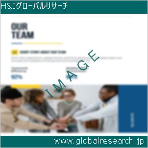 グローバルリサーチ調査レポートのイメージ