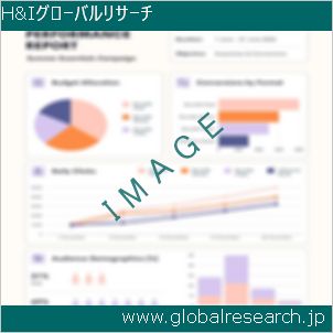 グローバルリサーチ調査レポートのイメージ