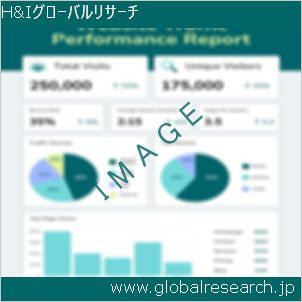 グローバルリサーチ調査レポートのイメージ