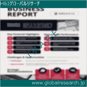 グローバルリサーチ調査レポートのイメージ