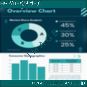 グローバルリサーチ調査レポートのイメージ