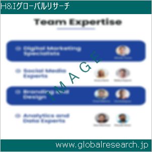 グローバルリサーチ調査レポートのイメージ