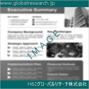 グローバルリサーチ調査資料のイメージ