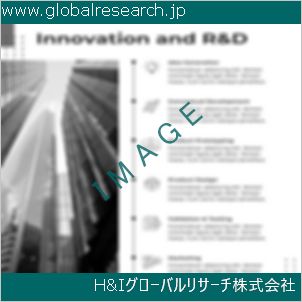 グローバルリサーチ調査資料のイメージ
