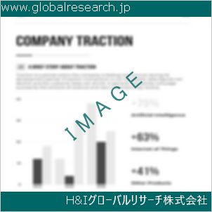 グローバルリサーチ調査資料のイメージ