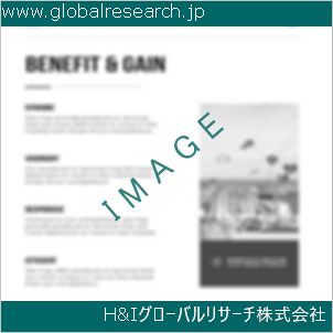 グローバルリサーチ調査資料のイメージ