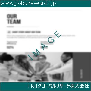 グローバルリサーチ調査資料のイメージ