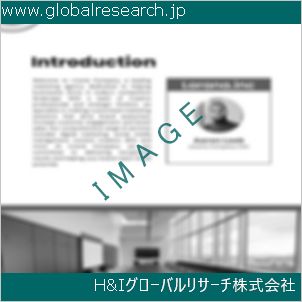 グローバルリサーチ調査資料のイメージ