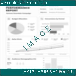 グローバルリサーチ調査資料のイメージ