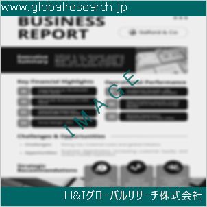 グローバルリサーチ調査資料のイメージ