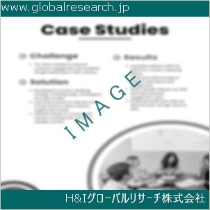 グローバルリサーチ調査資料のイメージ