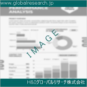 グローバルリサーチ調査資料のイメージ