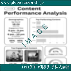 グローバルリサーチ調査資料のイメージ